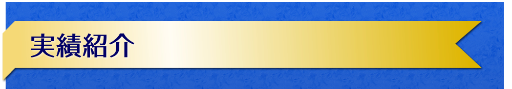 実績紹介